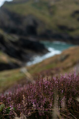 tintagel cornwall england view landscape bay sea ocean cave cliffs