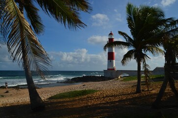 Lighthouse at the rocky beach with palm trees in the background © Jürgen Laurich/Wirestock Creators