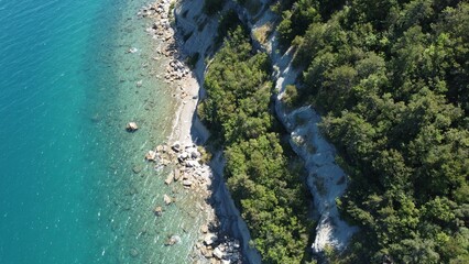 Aerial view of a beautiful sea near the forest on a sunny day
