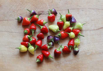 colorful hot chili peppers