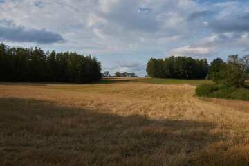 Obraz premium pole po żniwach