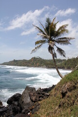 Travel to Caribbean islands,  2015