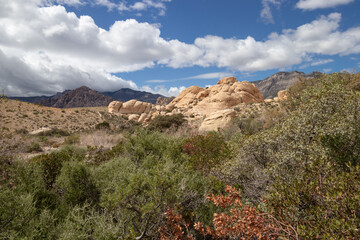 Rock formations, mountains and plants in the Mojave Desert in Las Vegas, Nevada