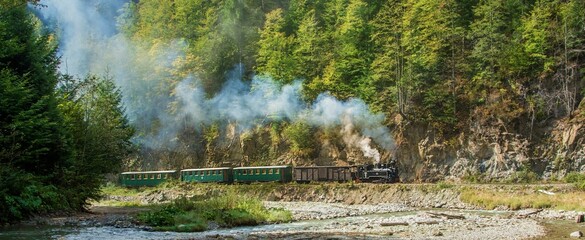 Panoramic view of a steam locomotive on Mocanita railway, Maramures county, Viseu de Sus, Romania - obrazy, fototapety, plakaty