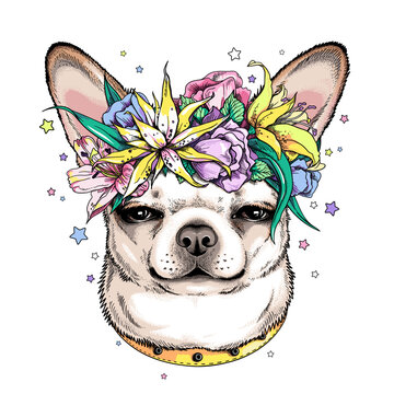Cute chihuahua in floral wreath. Vector illustration in hand-drawn style. Image for printing on any surface	