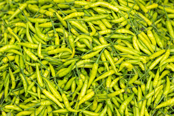 Green chili background spices The spicy full flame
