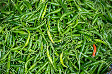 Green chili background spices The spicy full flame
