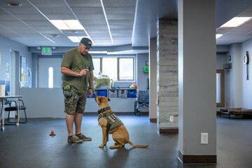 Marine veteran with service dog and family living life. - obrazy, fototapety, plakaty