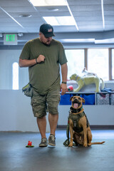 Marine veteran with service dog and family living life.