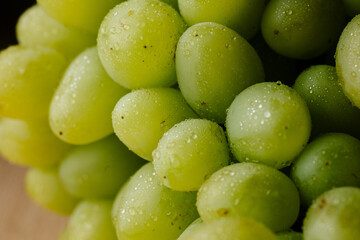 grapes on the vine