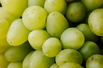 green grapes background
