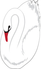 Illustration Hand drawn Bird element