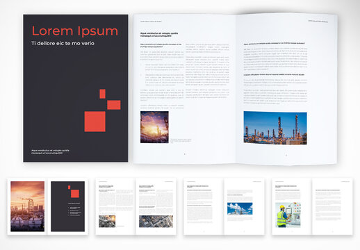 Professional Annual Report