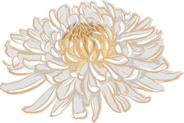 Blooming garden floral hand drawn Illustration elements
