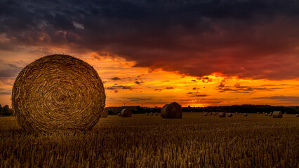 bright sunset on threshed wheat field