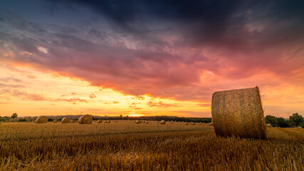 bright sunset on threshed wheat field