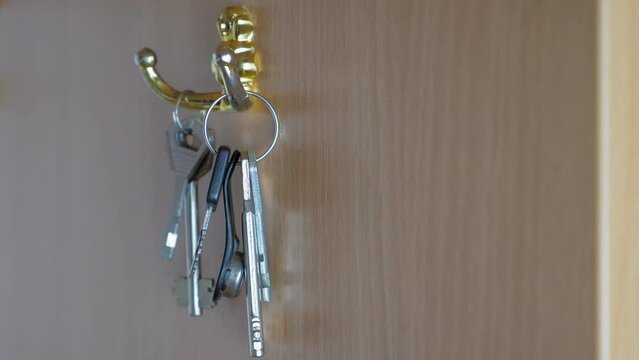 A woman's hand hangs a bunch of keys on a cabinet hook in the hallway. The girl went into the apartment and hung the keys to the doors on a hanger.