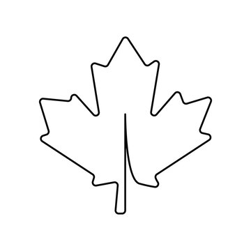 maple leaf icon on a white background, vector illustration