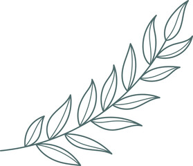 Hand drawn tree branch. Botanical line print