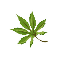 tree leaves icon, vector illustration