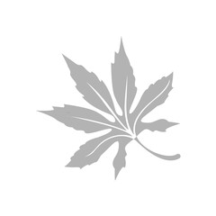 tree leaves icon, vector illustration