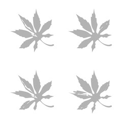 tree leaves icon, vector illustration