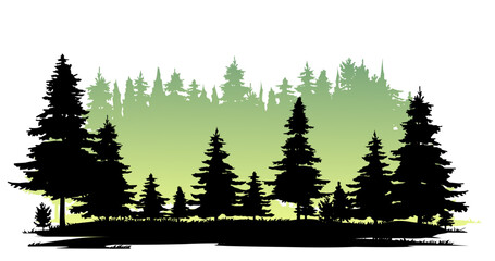 Glade in taiga. Coniferous forest with firs and pines. Landscape with trees and grass. Silhouette picture. Isolated on white background. Vector.