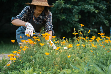 A woman is involved in gardening and farming.