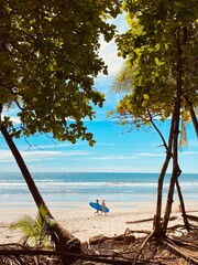 Sunset Palms Travel Tourism Warm Tropical Sunrise Vacation