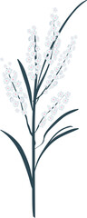 Hand drawn Botanical meadow flower and leaves illustrations