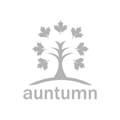 leaf icon, autumn concept, vector illustration