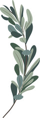 Obraz na płótnie Canvas Hand drawn Botanical meadow flower and leaves illustrations