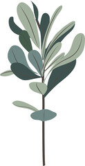 Obraz premium Hand drawn Botanical meadow flower and leaves illustrations