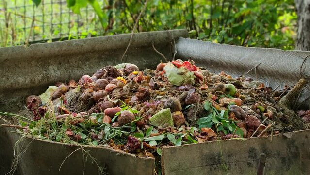 Bio-waste recycling. Compost bin with organic waste. Bio food waste composting bin. Biodegradable material, organic recycling concept. Waste falling into the compost bin in back yard to create organiс