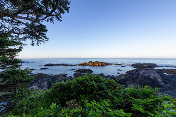 Lush green trees and bushes overlooking Rocks and Ocean in the Morning. Ancient Cedars Loop Trail. Ucluelet, British Columbia, Canada. Adventure Travel.