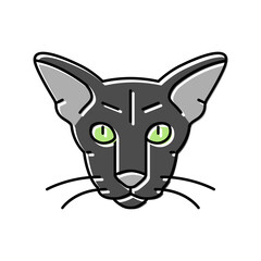 oriental cat cute pet color icon vector illustration