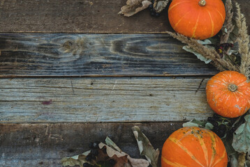 Pumpkins on wooden background, copy space. 