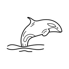 Killer Whale Line art. Hand drawn Killer Whale isoleted in white background. Doodle Aquatic vector illustration.