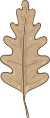 Fototapeta premium Hand drawn Autumn and Fall flower and leaves illustrations element