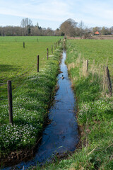 Ditch in Loenen in The Netherlands