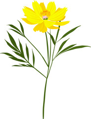 Beautiful Hand drawn Meadow floral illustrations element PNG file