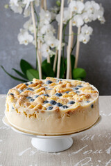 Blueberry cheesecake with ladyfingers, traditional recipe.