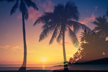 Beautiful tropical sunset beach and palm trees. Double exposure. 
