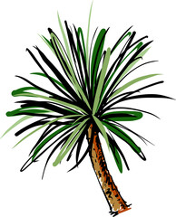 Hand drawn Palm tree illustrations element PNG file