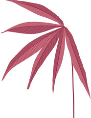 Hand drawn Troical leaves illustrations element PNG file