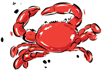 Hand drawn Sealife animal illustrations element PNG file