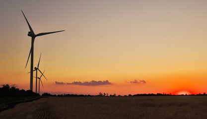 Obraz premium Wind turbines and agricultural field on a summer day. Energy production, clean and renewable energy.