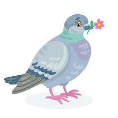 Gray dove with a pink flower in its beak. In cartoon style. Isolated on white background. Vector flat illustration.