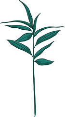 Hand drawn Tropical leaves illustrations element PNG file