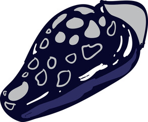 Hand drawn Sea shell illustrations element PNG file